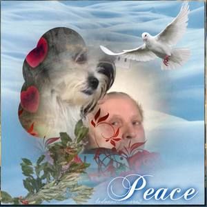 Meet your Posher, Graca